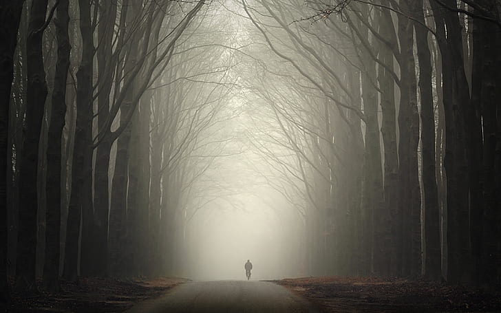mist, dirt road, bicycle, fall, gloomy, in-line