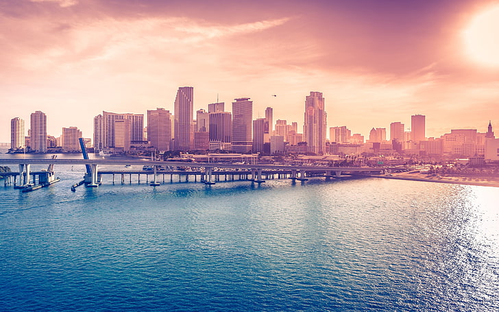 bridge illustration, city view at daytime, Miami, cityscape, building, HD wallpaper