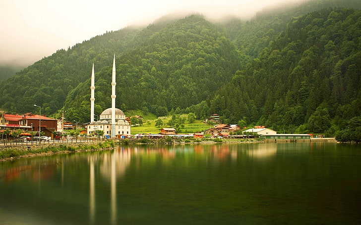forest, Hill, lake, landscape, mist, Mosques, nature, reflection, HD wallpaper