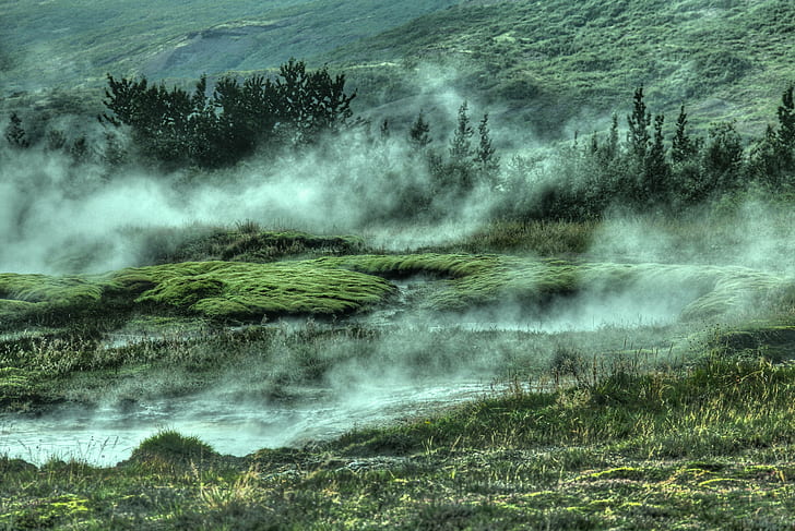 hillside, foggy, landscape, mist, forest, mountain, HD wallpaper