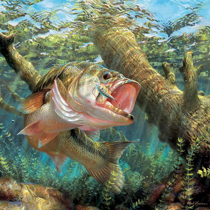 HD wallpaper: artwork, Bass, fish, fishes, fishing, lake, river
