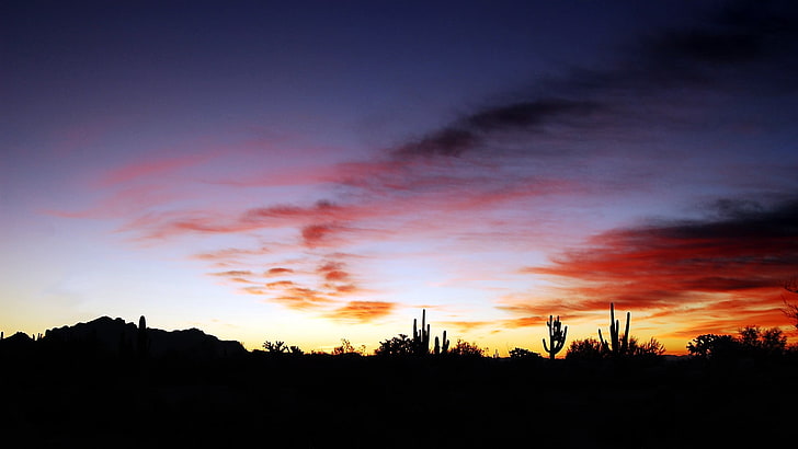 sunset over the horizon, sky, desert, dark, sunlight, clouds, HD wallpaper