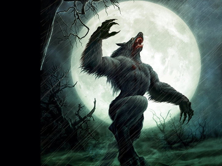 werewolf howling under full moon wallpaper, Dark, nature, animal wildlife, HD wallpaper