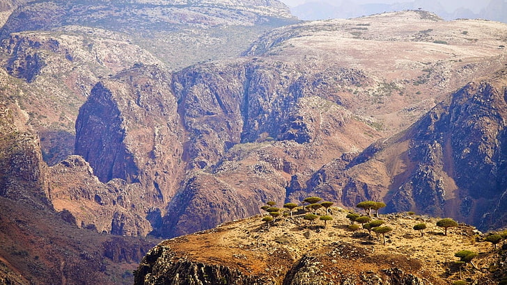 socotra, landscape, yemen, rock, plateau, tableland, lost world, HD wallpaper