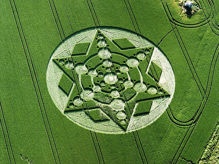 white kaznakta mat, field, nature, UFO, crop circles, green color