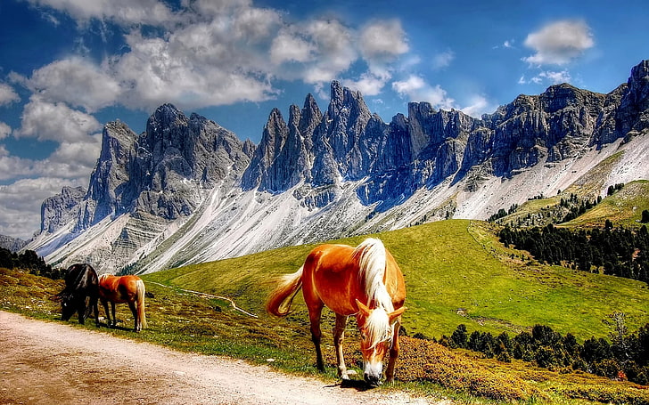 Horses In The Dolomites Mountains Italy South Tyrol Landscape Wallpaper Hd 3840×2400, HD wallpaper