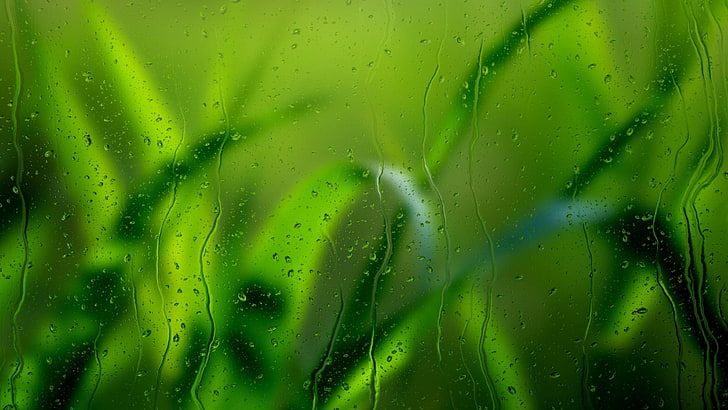 grass, glass, dops, macro, texture, macro photography, droplets, HD wallpaper