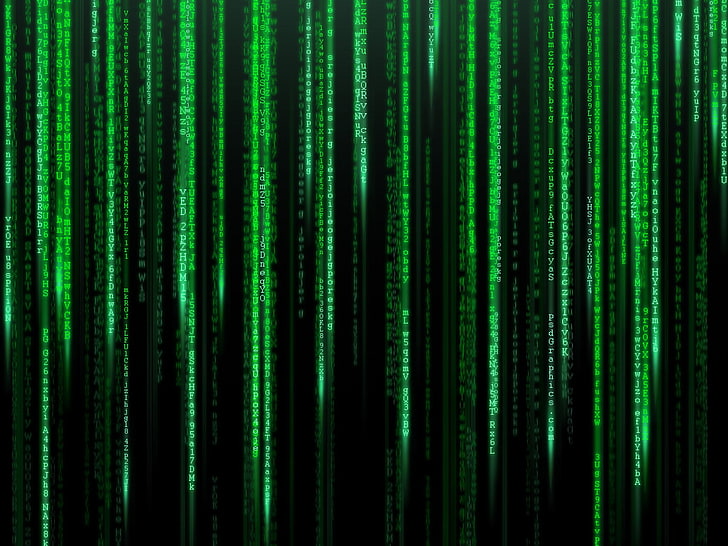 matrix screensavers backgrounds, green color, technology, data