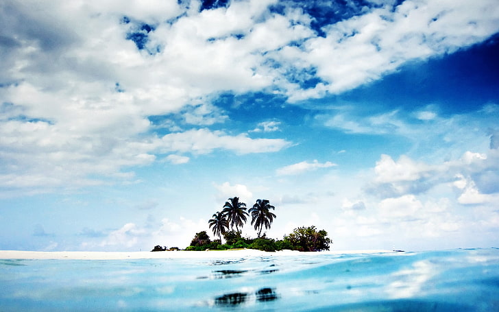 three coconut trees, beach, sand, palm trees, tropical, sky, clouds, HD wallpaper