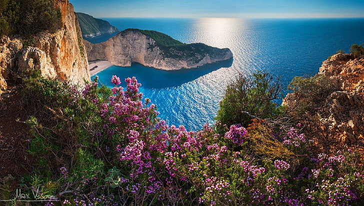 Earth, Ocean, Coast, Flower, Greece, Horizon, Mykonos, Pink Flower, HD wallpaper