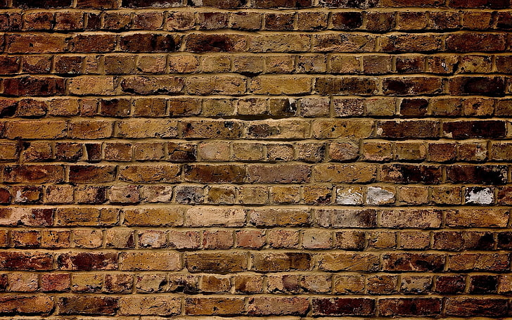 brown bricked wall, structure, surface, backgrounds, wall - Building Feature