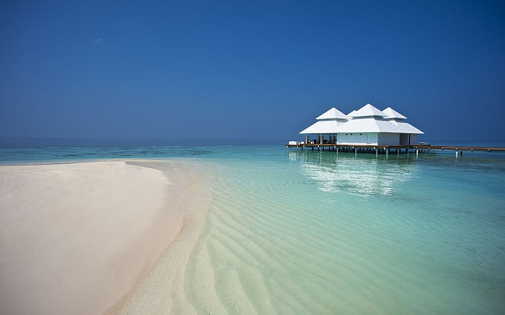 white and brown beach cottage, waterfront, Maldives, nature, sea, HD wallpaper
