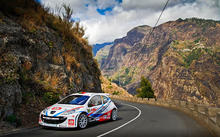 Road, Mountains, White, Sport, Peugeot, WRC, Rally, 207, HD wallpaper