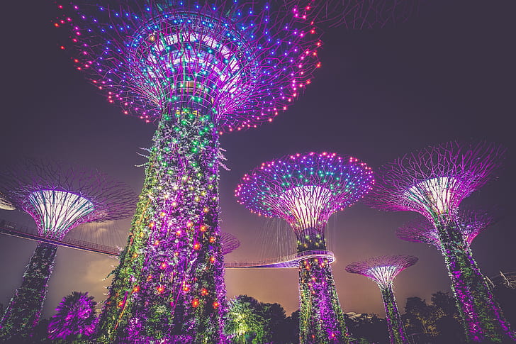 Singapore, 4K, Gardens by the Bay, Contemporary, Marina Bay