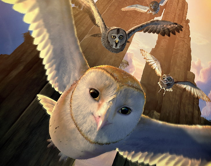 Legend Of The Guardians The Owls Of Ga Hoole, several assorted owls illustration, HD wallpaper