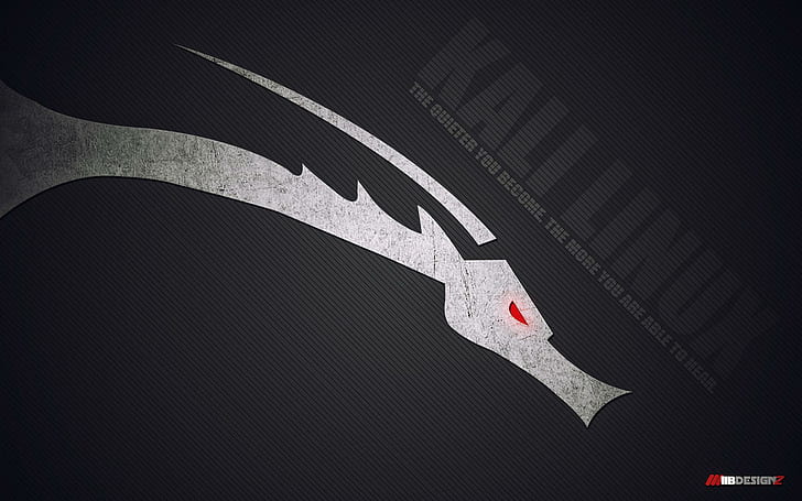 Kali Linux, hack, linux-dragon, kali-linux, HD wallpaper