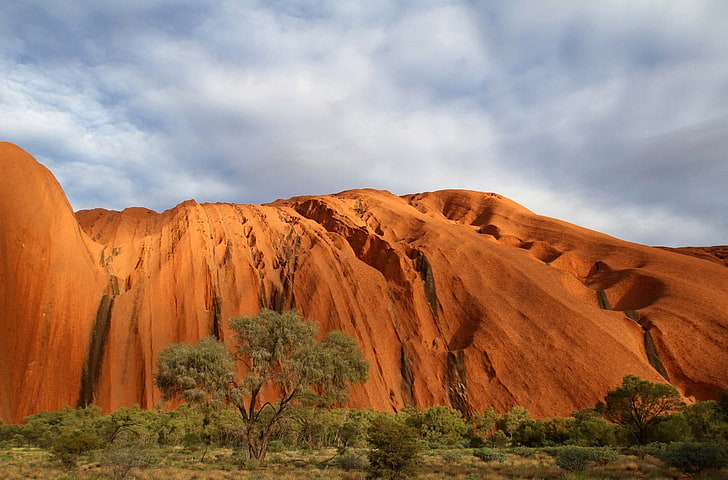 Earth, Uluru, Australia, Ayers Rock, Nature, Outback, Tree, HD wallpaper