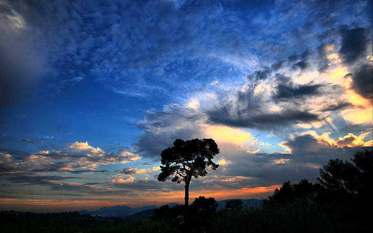 Dramatic sky, nature and landscape