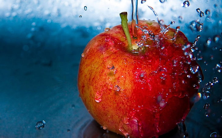 macro, fruit, apples, water drops, food and drink, healthy eating