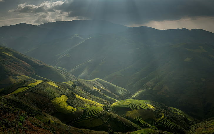 mountains, nature, valley, rice paddy, field, Vietnam, clouds, HD wallpaper