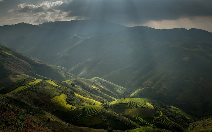 nature, landscape, rice paddy, sun rays, mountains, terraces