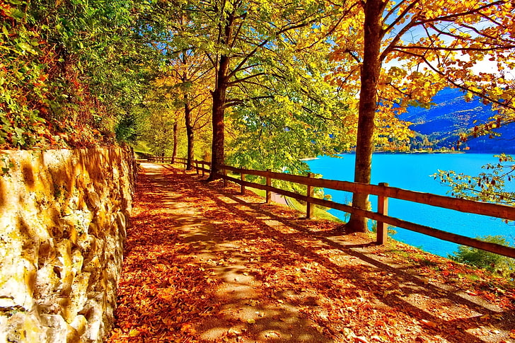 brown wooden road rail, brown leaf trees near body of water and pathway