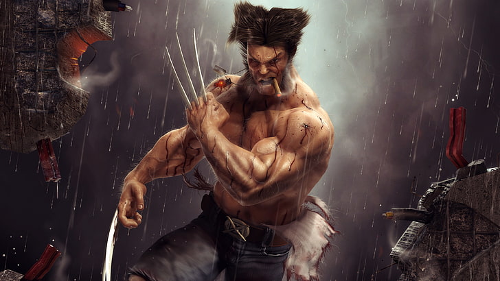 Wolverine, Artwork, Logan, HD wallpaper