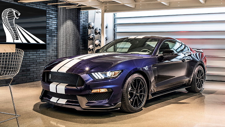4K, 2019 Cars, Ford Mustang Shelby GT350, motor vehicle, mode of transportation