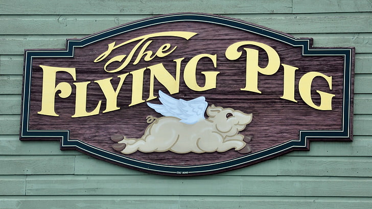 Flying Pig, humor, text, animal representation, communication