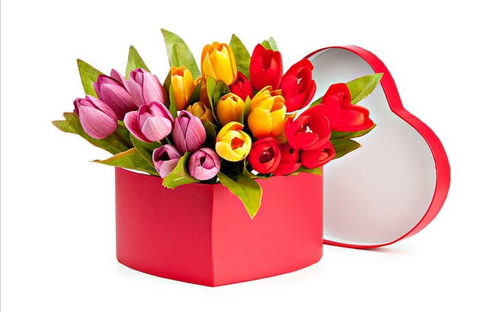 Tulips Bouquet, lovely, yellow, red tulips, yellow tulips, romantic, HD wallpaper