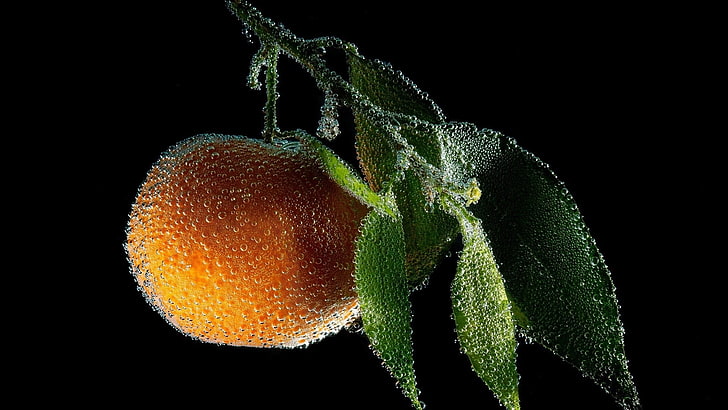 round orange fruit, macro, peaches, water drops, studio shot, HD wallpaper