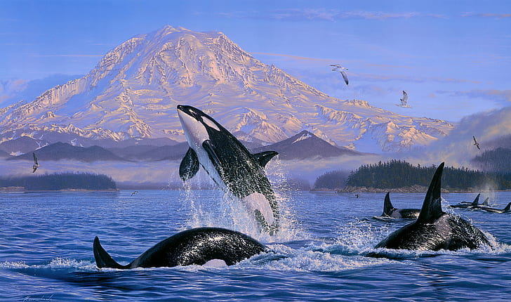 Animal, Orca, Artistic, Painting, Sea Life, HD wallpaper