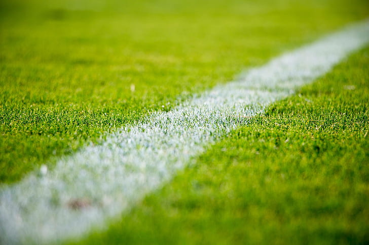 lawn, football, grass, sports, field, soccer
