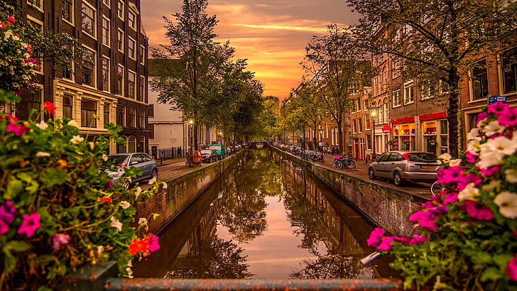 waterway, canal, reflection, amsterdam, netherlands, flower, HD wallpaper
