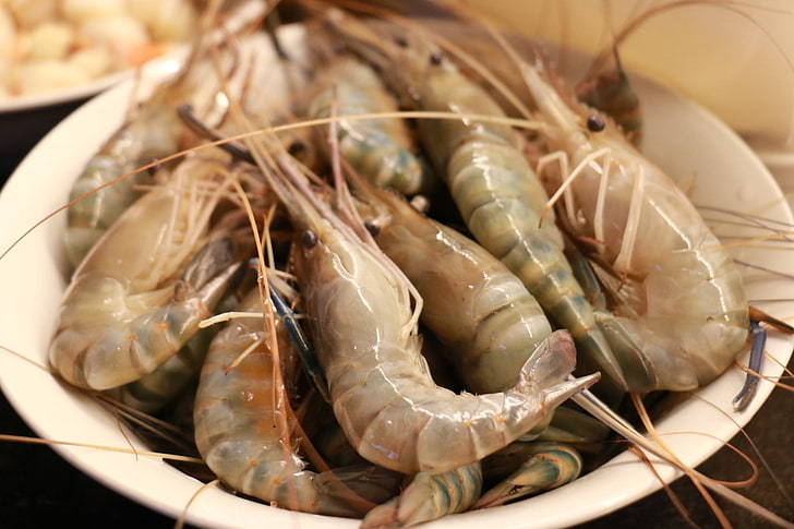 prawn, shrimps, seafood, food and drink, close-up, freshness