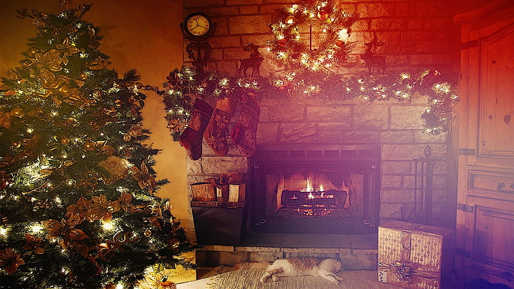 black fireplace, Christmas, cat, lights, interior, clocks, holiday, HD wallpaper