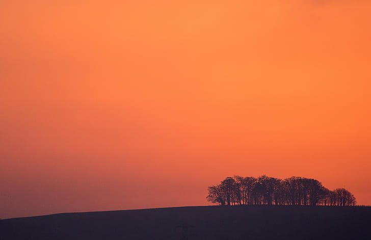 silhouette painting of trees during sunset, gloucestershire, gloucestershire