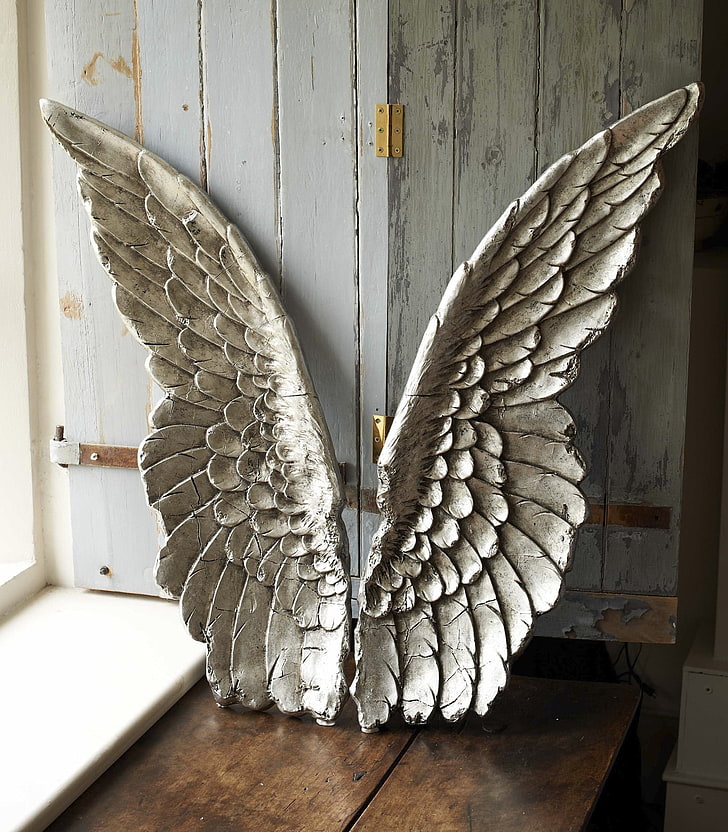 wings, window sill, animal body part, animal wing, feather