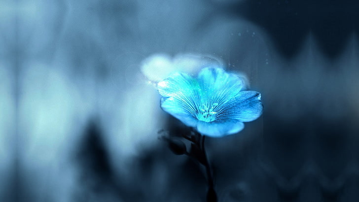 blue petaled flower illustration, flowers, blurred, plants, animal themes, HD wallpaper