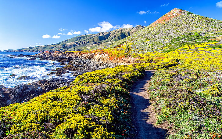 Pacific Coast Highway, Mountains, Seascape, Landscape, Big Sur, HD wallpaper