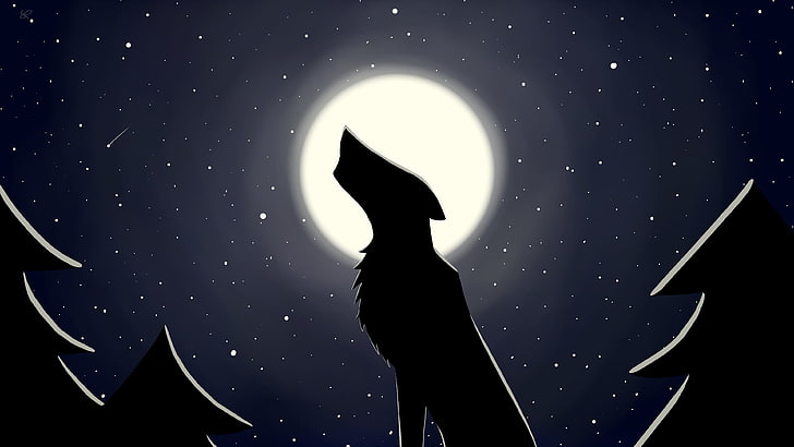 Moon, wolf, night, stars, silhouette, space, sky, real people