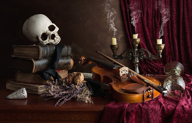 brown violin, glass, books, skull, candles, still life, the dried flowers