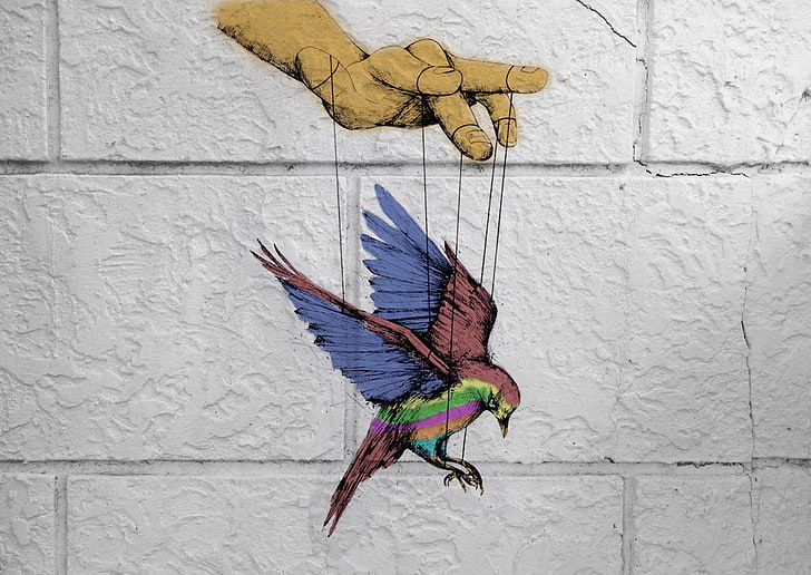 birds, colorful, puppets, freedom, wall - building feature, HD wallpaper