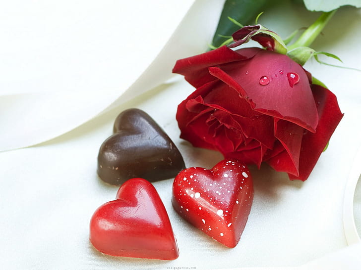 Red Rose Beauty Flowers Heart Nice Valentines, red rose and 3 chocolate hearts
