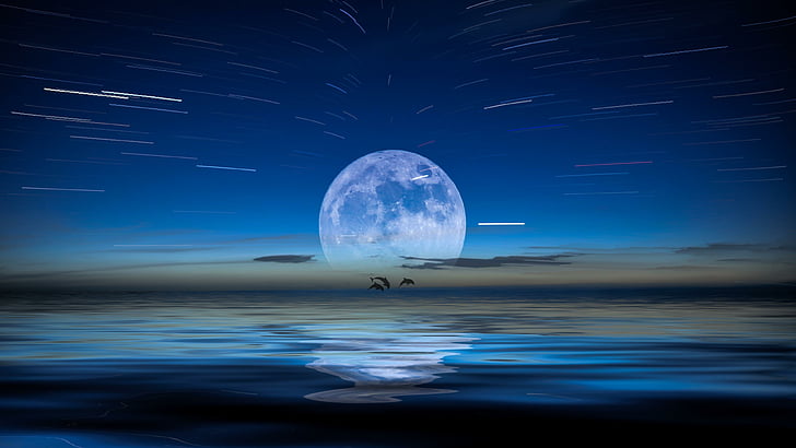 full moon, dolphins, moonlight, night sky, reflection, fantasy art
