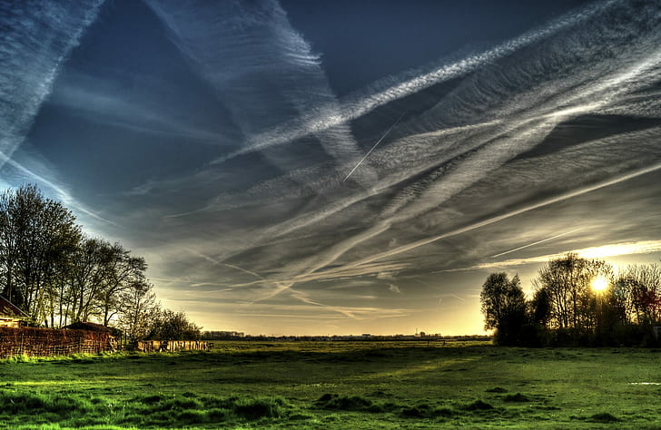 nature, landscape, trees, sky, grass, field, chemtrails, HD wallpaper