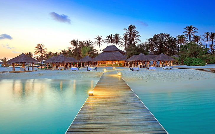 brown wooden dock, Maldives, island, beach, palm trees, water