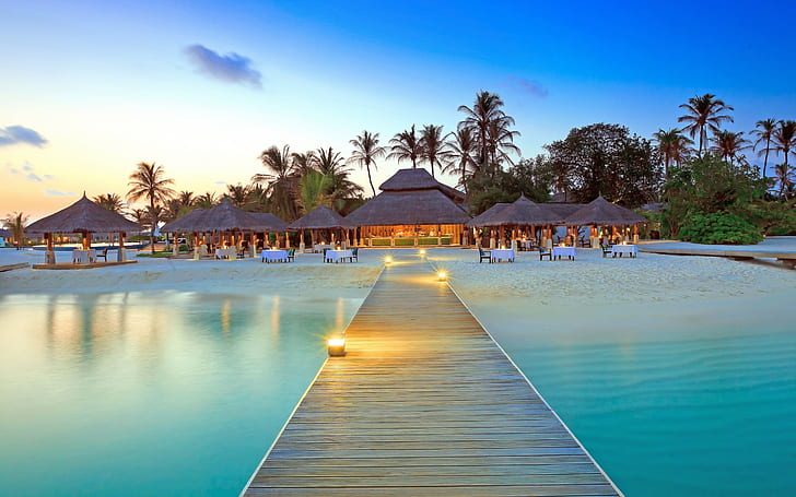 palm trees, Maldives, beach, dock, island, HD wallpaper