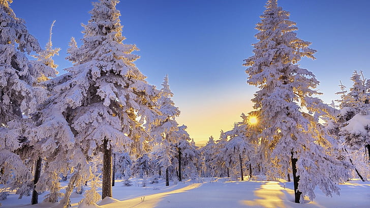 Winter In Germany, amazing winter landscape, blue winter, winter scenery, HD wallpaper