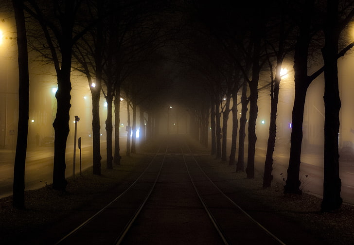 tram, city, night, mist, city lights, trees, brown, street, HD wallpaper